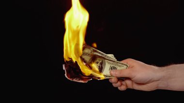 cropped view of man burning dollar banknotes isolated on black with copy space