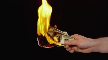 cropped view of man burning dollar banknotes isolated on black with copy space clipart