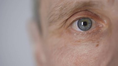 cropped view of middle aged man with blue eye looking at camera isolated on grey  clipart
