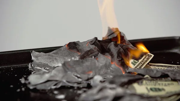 selective focus of burning dollar banknotes and ashes isolated on grey