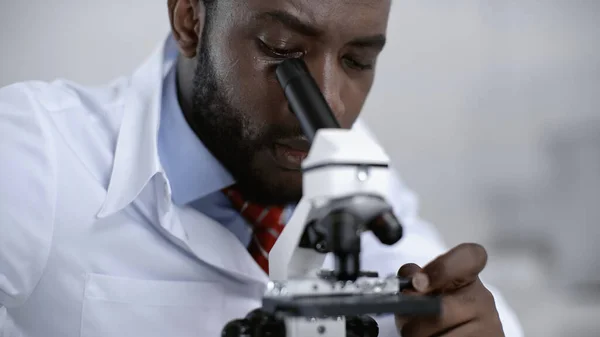 Focused african american scientist looking through microscope in clinical laboratory — Stock Photo