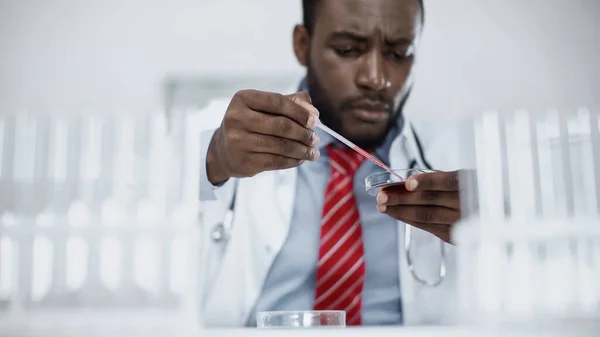 Verschwommener afrikanisch-amerikanischer Wissenschaftler fügt im Labor rote Flüssigkeit in Petrischale ein — Stockfoto