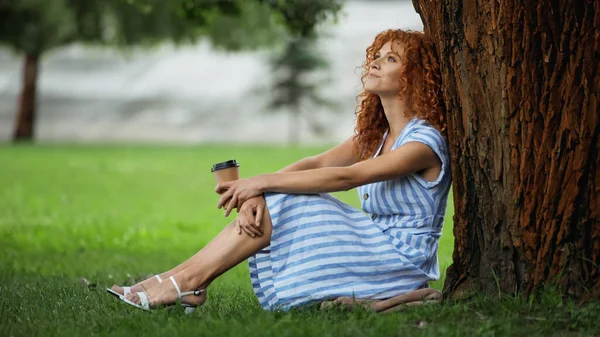 Joyful redhead woman in blue dress sitting under tree trunk and holding coffee to go — Stock Photo