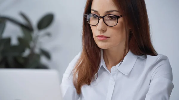 Concentrated woman in eyeglasses working in office — Stock Photo
