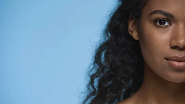 Обрезанный вид брюнетки африканской американки, смотрящей на камеру, изолированную на голубом — стоковое фото