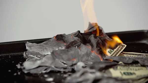 Selective focus of burning dollar banknotes and ashes isolated on grey — Stock Photo