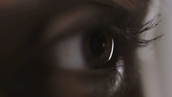 Macro photo of female eye with mascara on eyelashes — Stock Photo