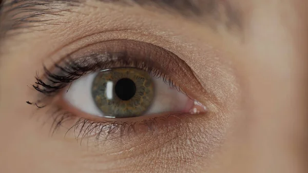 Close up view of woman with hazel eye and mascara on eyelashes looking at camera — Foto stock