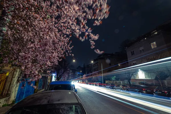 Circulation Nuit Cool Longues Expositions Voitures Feux Circulation Vue Dans — Photo