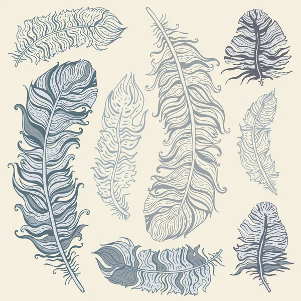 Feather Set — Stock Vector