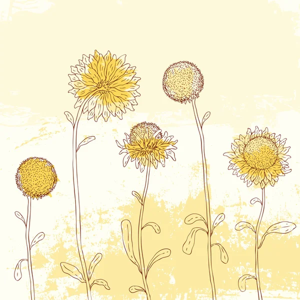 Žluté slunečnice o akvarelu pozadí. — Stockový vektor