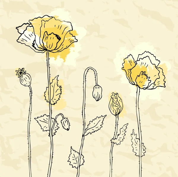 白色背景上的红罂粟 — 图库矢量图片