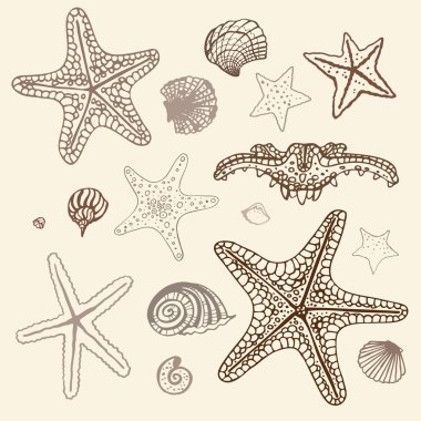 Sea Starfish set. Hand drawn vector illustration. clipart