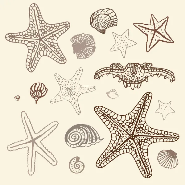 Mar Starfish conjunto. Ilustración vectorial dibujada a mano . — Vector de stock