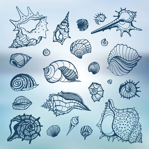 Sea shells set.  Blurred background. — Stock Vector