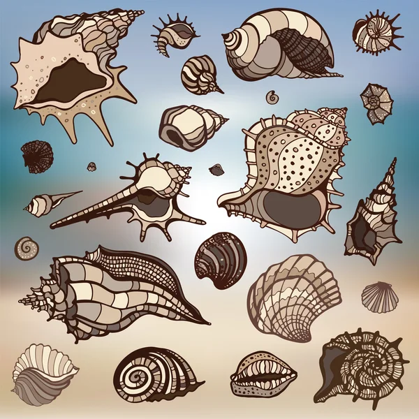 Sea shells set.  Blurred background. — Stock Vector