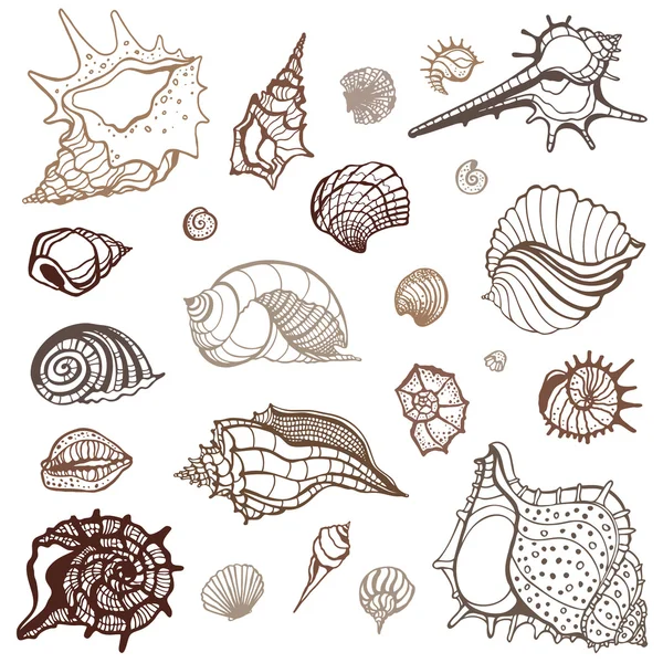 Colección de mar. Ilustración vectorial dibujada a mano — Vector de stock