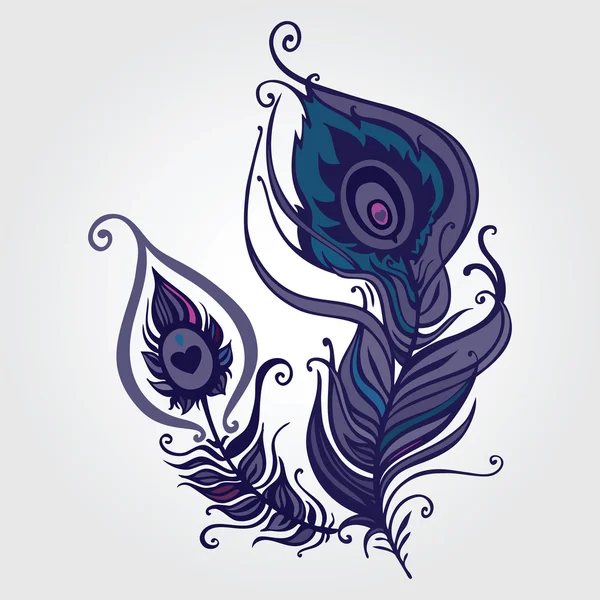 Belle plume de paon . — Image vectorielle