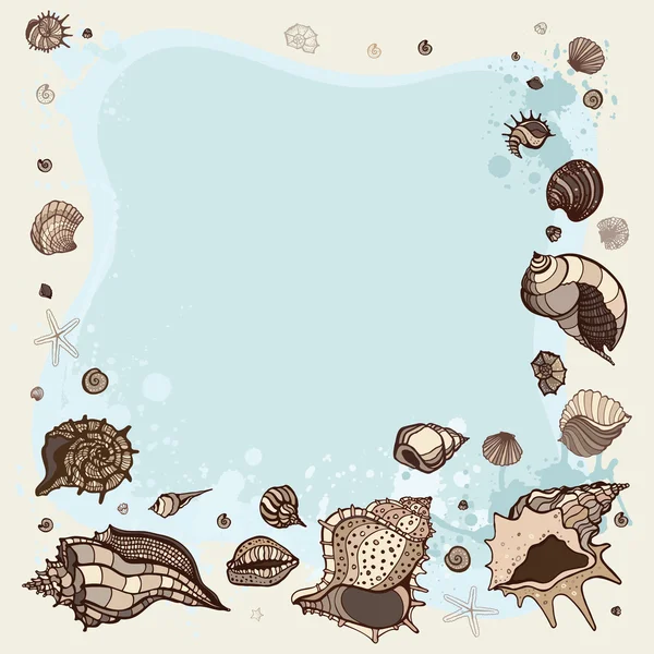 Summer Frame of seashells. — Stock Vector