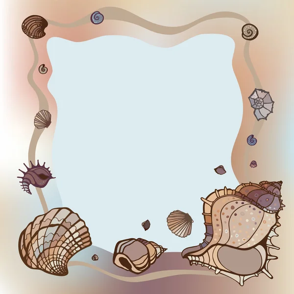 Frame of seashells. — Stock Vector