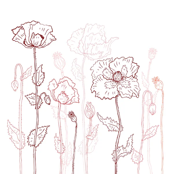 Çiçek background. el çekilmiş haşhaş — Stok Vektör