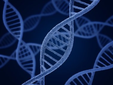 DNA molekülü