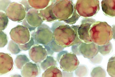 Beyaz arka plan üzerinde organik hücreleri