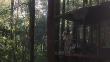 Kitap okuyan ve ormandaki sıcak bir kulübede sıcak çay içen genç bir kadın. Ormanın ortasındaki ahşap kulübe güneşli ahşap dağ kulübesi kırsal ev mimarisi..