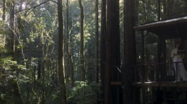 Kitap okuyan ve ormandaki sıcak bir kulübede sıcak çay içen genç bir kadın. Ormanın ortasındaki ahşap kulübe güneşli ahşap dağ kulübesi kırsal ev mimarisi..