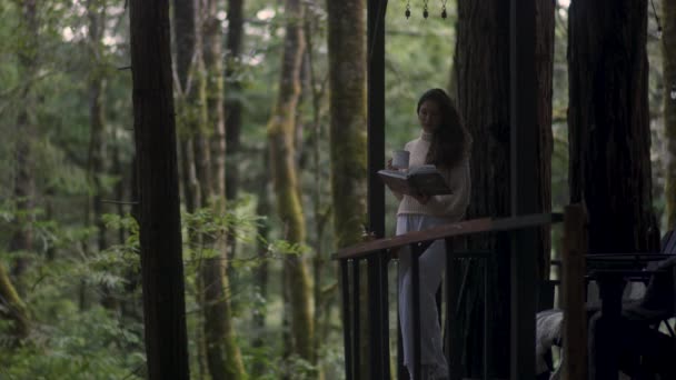 Young Woman Reading Book Drinking Hot Tea Porch Cozy Cabin Lizenzfreies Stock-Filmmaterial