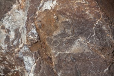 dilim büyük, kahverengi bir taş