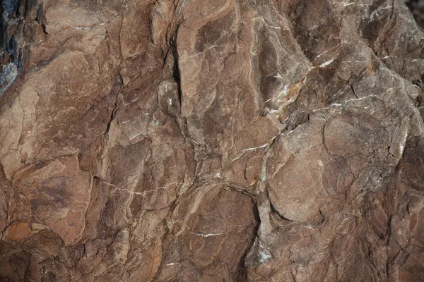 protuberances ile kahverengi taş