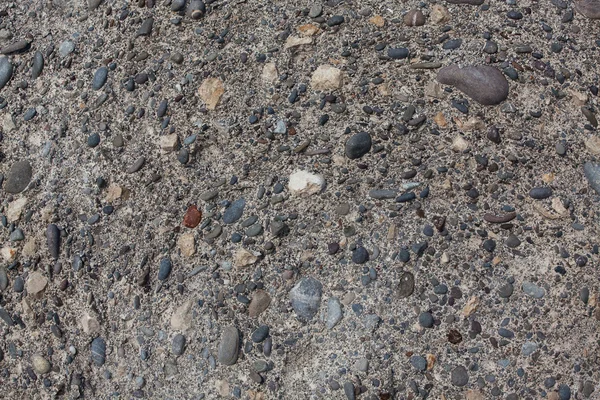 Фоссилии с мелкой морской галькой — стоковое фото