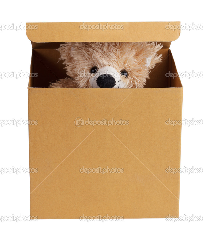 Teddy bear in a cardboard box