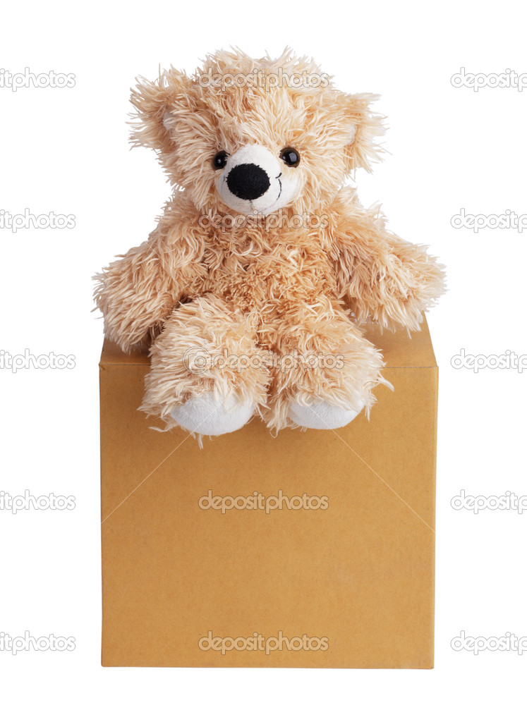 box teddy bear