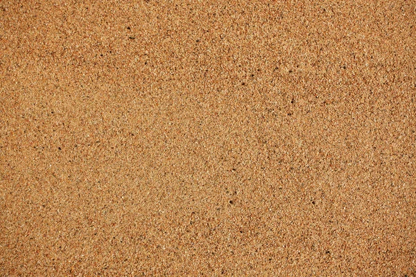 Sea sand gul orange — Stockfoto