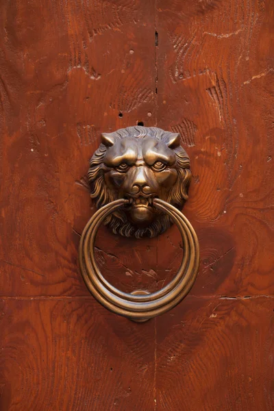 ライオンの形で古いドア ハンドル — ストック写真