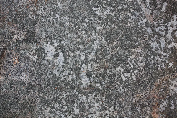 Surface of the gray stone — Stock Photo, Image