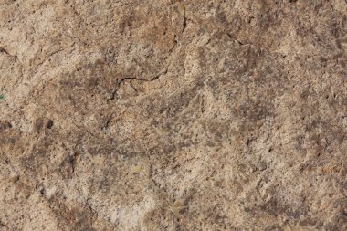 Uneven surface of light-beige stone clipart