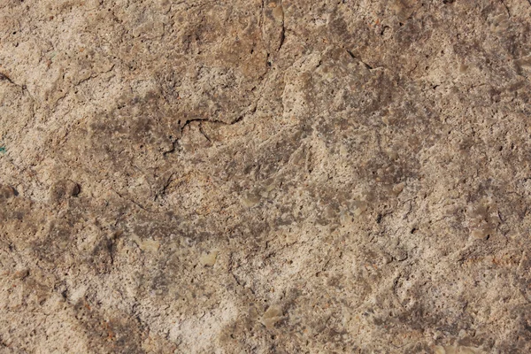 Nierówna powierzchnia jasno beżowy kamień — Zdjęcie stockowe