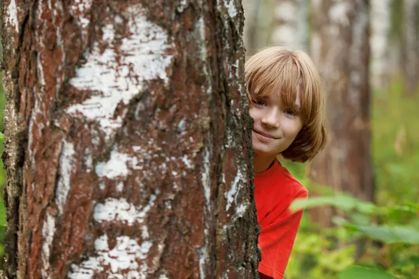 Garçon regardant dehors par derrière un tronc d'arbre — Photo