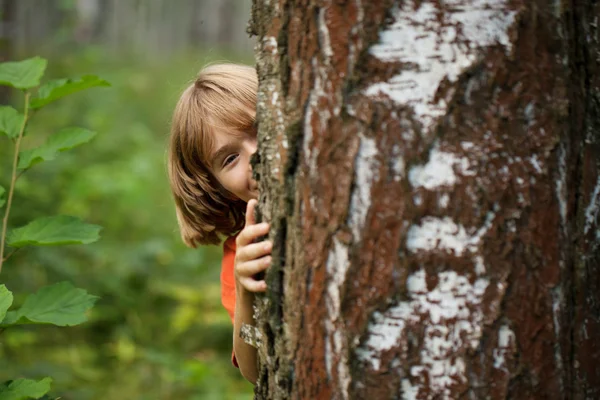 Çocuk gözatma out arkasından bir ağaç gövdesi — Stok fotoğraf
