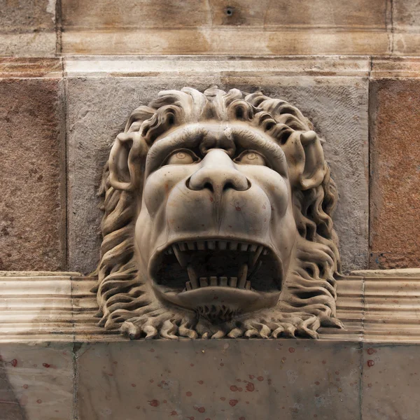 Sculpture of a fierce lion muzzle — Stock Photo, Image