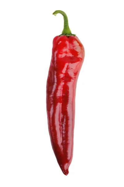 Ripe big red pepper — Stock Photo, Image