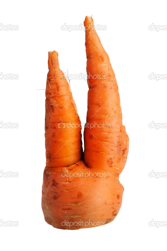 Bifurcated crooked carrot