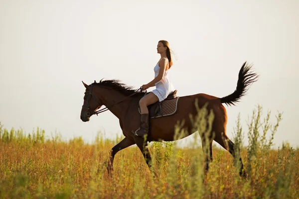 Mujer joven montando un caballo marrón — Foto de Stock