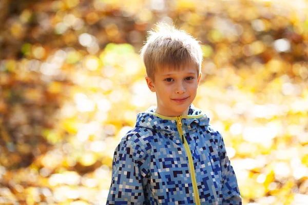 秋の太陽の下で幸せなブロンドの男の子の肖像画 — ストック写真