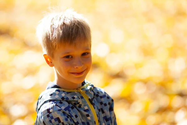 Porträtt Söt Liten Pojke Solig Höstdag — Stockfoto