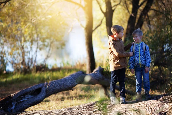 Два Маленьких Мальчика Гуляют Осеннем Парке Солнечным Вечером — стоковое фото
