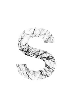 ağaç yazı tipi biçimi ve doğal yazı tipi